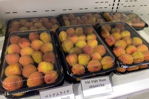 Vietnamese lychees are sold in a Japanese market. (Photo: SGGP)
