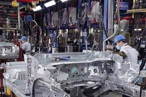 Illustrative image (Photo: VNA)