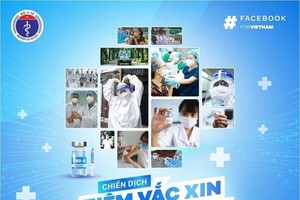 Poster of the campaign (Photo: baochinhphu.vn)