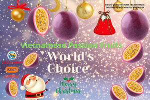 Program building brand for Vietnamese passion fruit in Australia kicked off