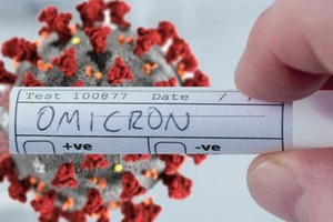 Old woman from US becomes HCMC’s 13th Omicron case