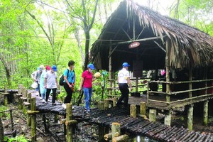 The Department of Tourism of HCMC coordinates with relevant departments and businesses to offer trips to Can Gio to frontline workers. (Photo: SGGP)