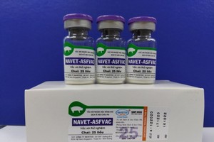 NAVET-ASFVAC experimental vaccine (Photo: VNA)