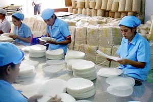 Making rice paper in Phu Hoa Dong Commune in Cu Chi District (Photo: SGGP) ​