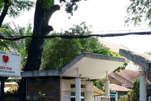  HCMC Heart Institute