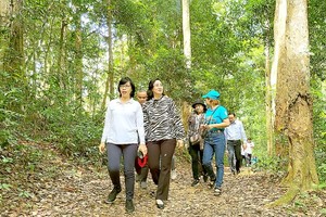 A delegation of officials of the HCMC Department of Tourism take surveys to develop tourist products and promote tourism cooperation with the Central Highland provinces.