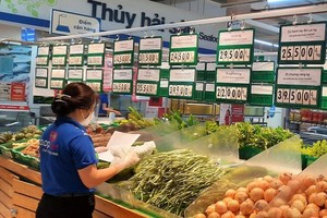 Illustration. (Photo: SGGP)