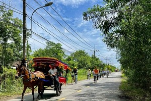 Visitors  travel by bicycle and horse-drawn carriage in Cu Chi District.