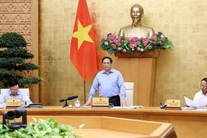 Prime Minister Pham Minh Chinh speaks at the meeting. (Photo: VNA)