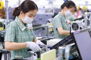 Many large firms have shown their interest in Vietnam (Photo: VNA)
