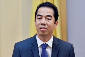 Deputy Foreign Minister To Anh Dung (Photo: vtv)