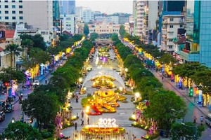The delegation takes a  survey of Nguyen Hu walking street.