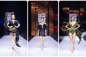 Designs by Hoang Minh Ha