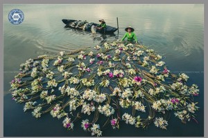An award-wining picture at an international photo contest is displayed in the festival.