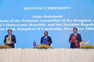 At the joint statement signing ceremony (Photo: VNA)