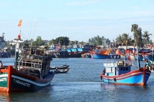 Vietnam's fishing vessels (Photo: VNA)