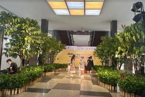 Coffee lovers have an opportunity to enjoy a garden of more than 2,000 coffee trees which were brought from plantations in the Central Highlands province of Lam Dong at the first Coffeerary Exhibition 2022. (Photo: SGGP)