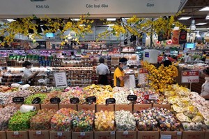 Illustrative photo (Source: SGGP)