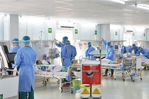 At the drill (Photo: VNA)