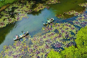 World Wetlands Day 2023 to be observed in Vietnam with various activities