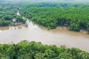 Can Gio international transshipment port located nearby the buffer zones of the Can Gio Biosphere Reserve in HCMC, will not penetrate the boundary of the biosphere. (Photo: SGGP)