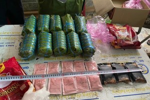 Drug trafficking ring from Laos to Vietnam busted