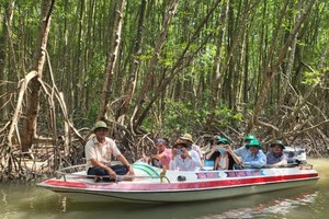 Visitors explore Ca Mau national park. (Photo: SGGP)