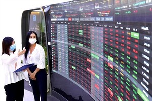 Increase in domestic cash inflow in stock market