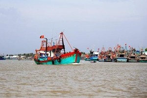 For the IUU fishing combat, the dispatch calls for more drastic actions and thorough preparations for the fourth inspection by the European Commission (EC), slated to take place from May 25-31. (Photo: VNA)