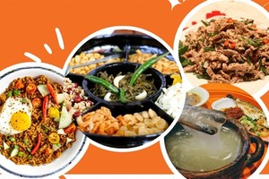 Traditional food from ASEAN countries will be presented at the 2023 Vietnam-ASEAN Culture and Food Festival at District 1’s Hoa Lu Stadium from May 25-28. (Photo courtesy of IRSAC)