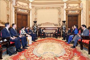 At the meeting (Photo: VNA)