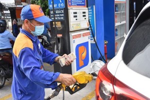 Illustrative image (Photo: SGGP)