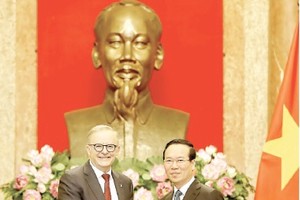 President Vo Van Thuong (R) and Australian Prime Minister Anthony Albanese at their meeting on June 4 (Photo: VNA)