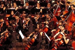 Illustrative image (Photo: VNA)