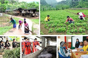 Illustrative photo (Photo: VNA)