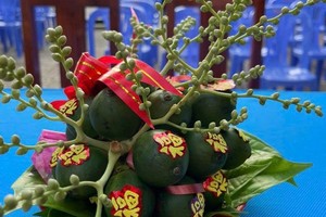 A tray of betel leaves and areca fruits (Photo: SGGP)