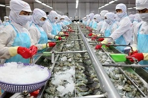 Shrimp processing (Photo: VNA)