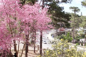 Da Lat City (Photo: SGGP)