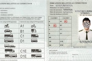 (Illustrative image : SGGP)