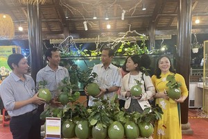 HCMC currently has 66 3-4 star OCOP products. (Photo: SGGP)