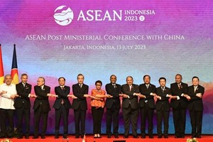 Vietnam - active member of multilateral organisations, forums (Photo: VNA)