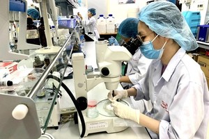 Researchers are working at a laboratory of the International University, VNU-HCM. (Photo: vnuhcm.edu.vn)