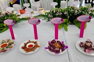 The making and performance of 100 dishes and drinks made from Binh Tan sweet potatoes set a Vietnamese record. (Photo: VNA) 
