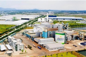 A corner of Phu My 3 Specialised Industrial Park, Phuoc Hoa ward, Phu My town, Ba Ria - Vung Tau province. (Photo: VNA)