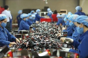 The monthly average income of Vietnamese laborers in 2023 reaches VND7.1 million. (Photo: VNA)