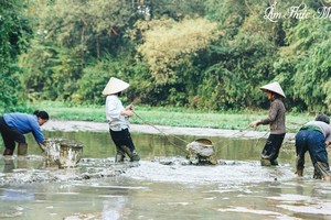 The “Am Thuc Me Lam” (Mother's Recipe) channel by Dong Van Hung
