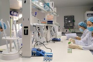 Covid-19 vaccine production research (Photo: VNA)