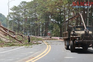 Vehicles have been temporarily banned from Prenn Pass due to landslides. (Photo: SGGP)