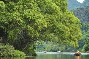 Tourists enjoy sailing in Trang An Landscape Complex in northern Ninh Binh province. (Photo: VNA)