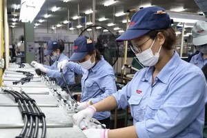 Illustrative image (Photo: VNA)